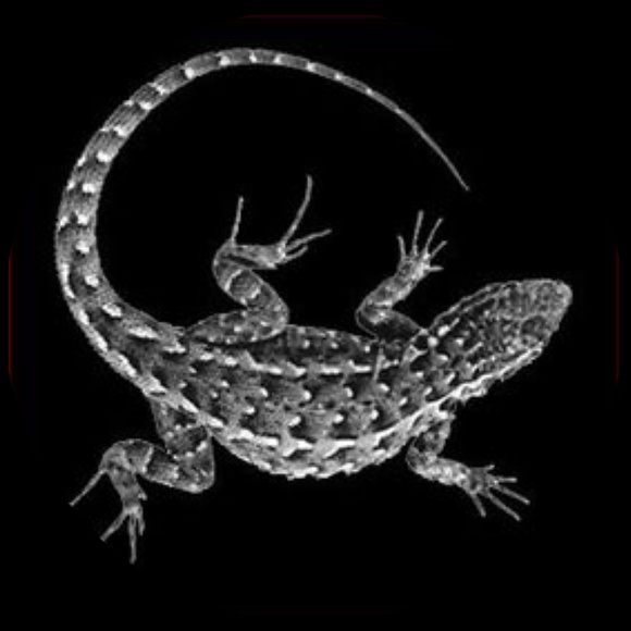 Meet your Posher, Joe - Picture 1 of 1